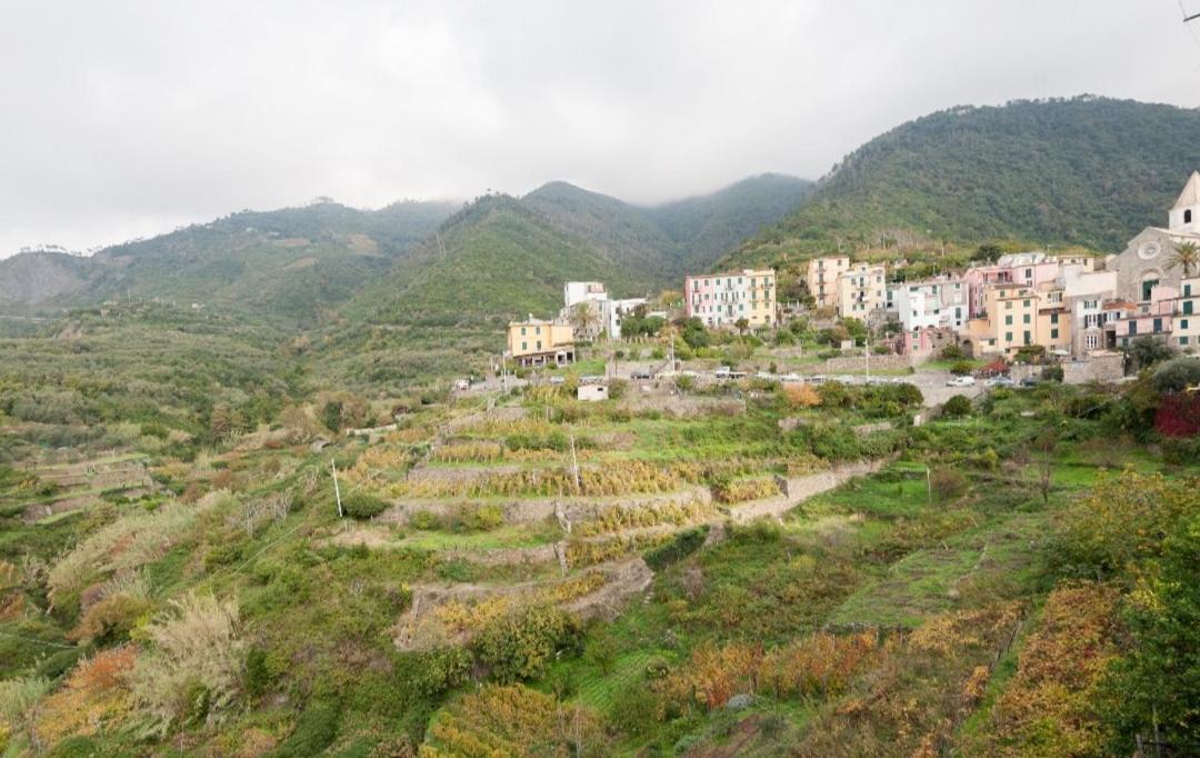 Arbanella Affittacamere Corniglia
